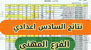 رابط استخراج نتائج المهني  2023 بالعراق بالرقم الامتحاني عموم المحافظات