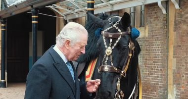 الملك تشارلز يتلقى حصانا هدية من شرطة الخيالة الكندية