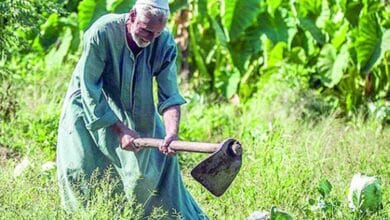 مبادرة صغار الفلاحين والمزارعين