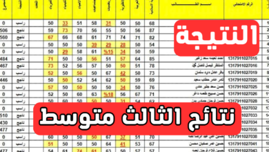 تنزيل pdf نتائج الثالث متوسط بالدور الثالث