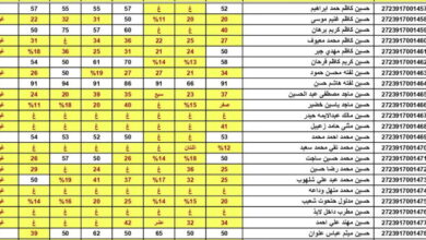 نتائج السادس إعدادي الدور الثالث