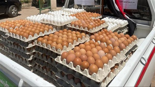 أسعار كرتونة البيض اليوم الأربعاء 14 يناير 2026 في بورصة الدواجن وللمستهلك